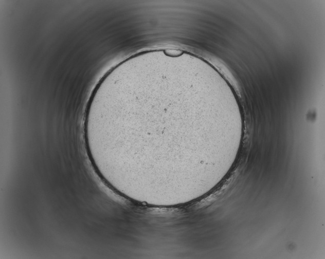 X0000100330805200807031233