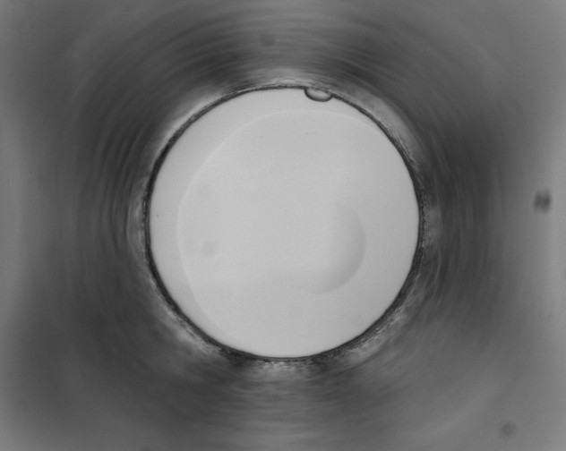 X0000100330806200807031233