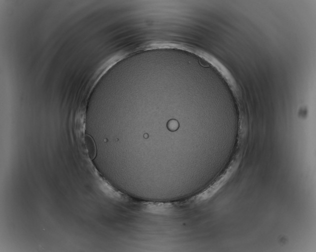 X0000100330809200807031233