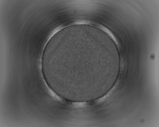 X0000100330810200807031233