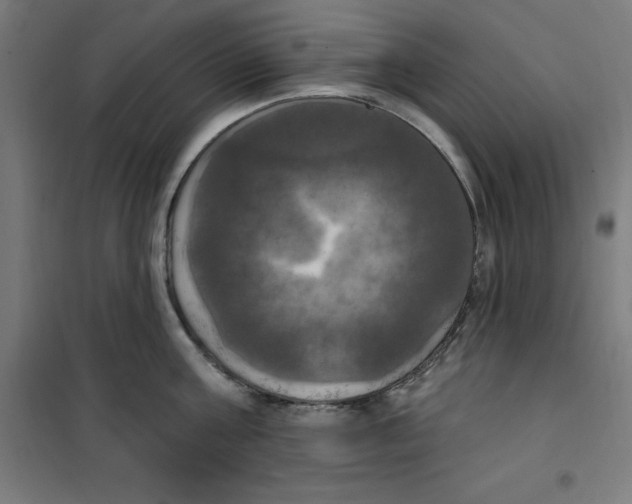 X0000100330811200807031233