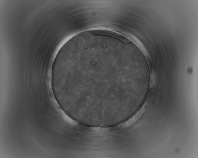 X0000100330812200807031233