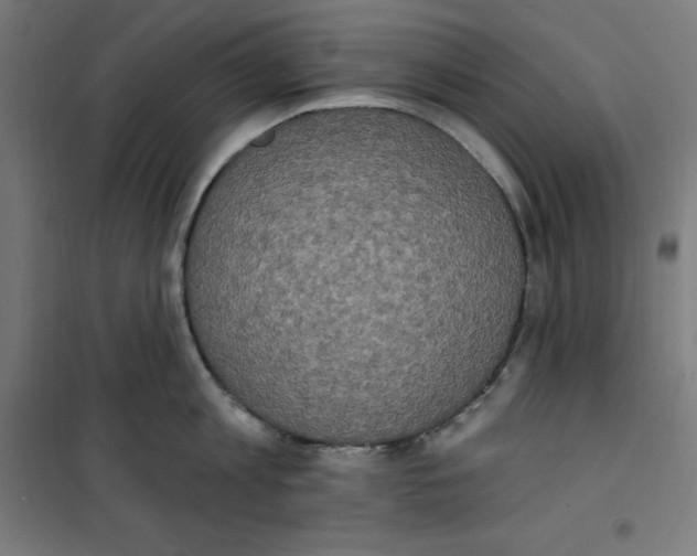 X0000100330813200807031233