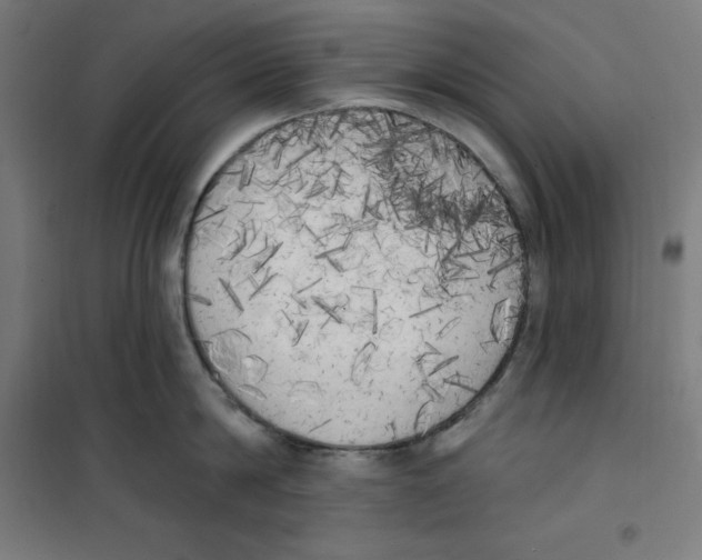 X0000100330814200807031233