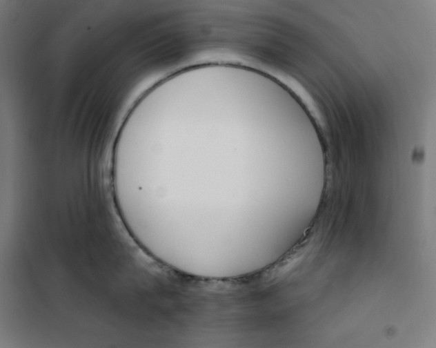 X0000100330815200807031233