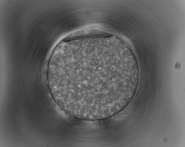 X0000100330816200807031233