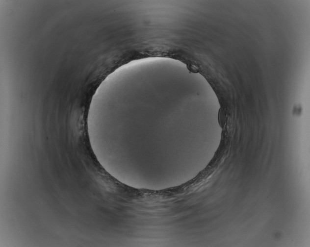 X0000100330818200807031233