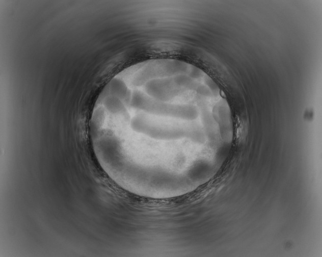 X0000100330819200807031233