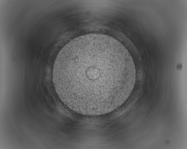 X0000100330820200807031233