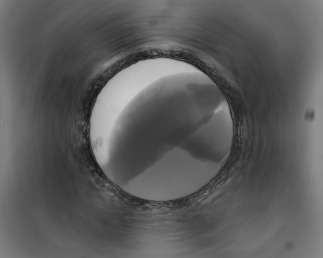 X0000100330822200807031233