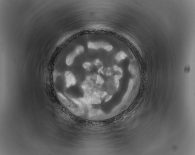 X0000100330823200807031233