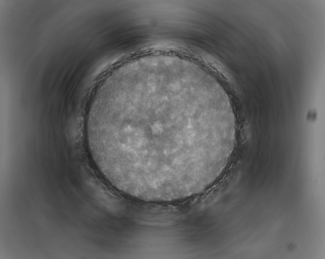 X0000100330824200807031233