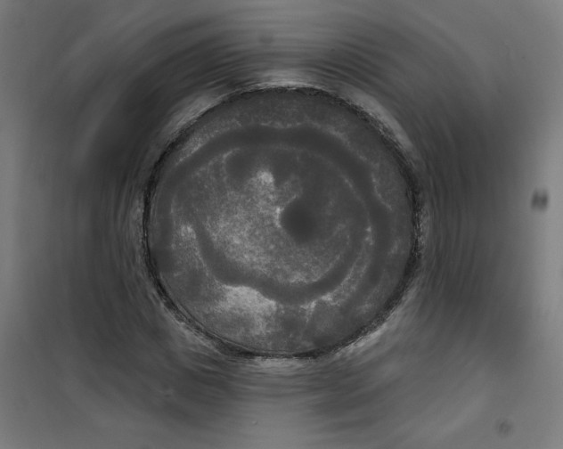 X0000100330825200807031233