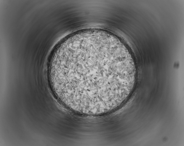 X0000100330827200807031233