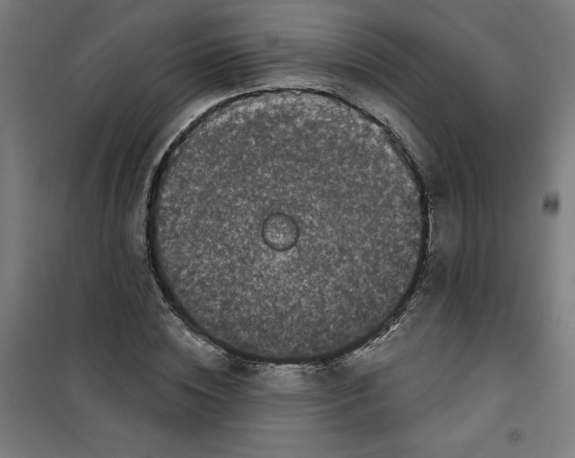 X0000100330828200807031233