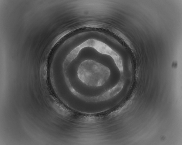 X0000100330829200807031233