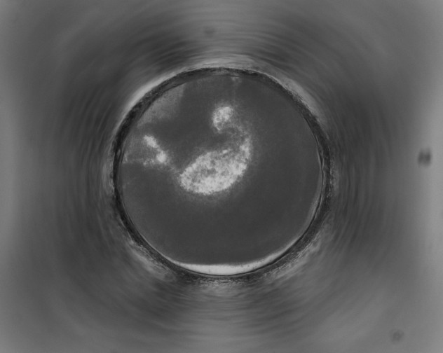 X0000100330830200807031233