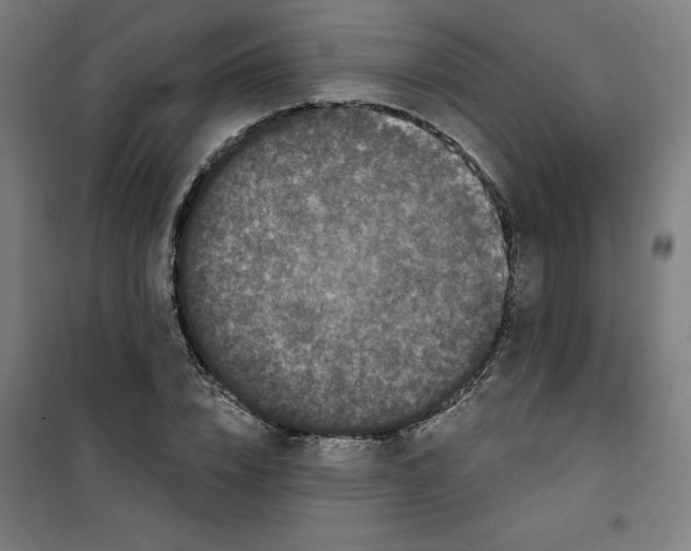 X0000100330832200807031233