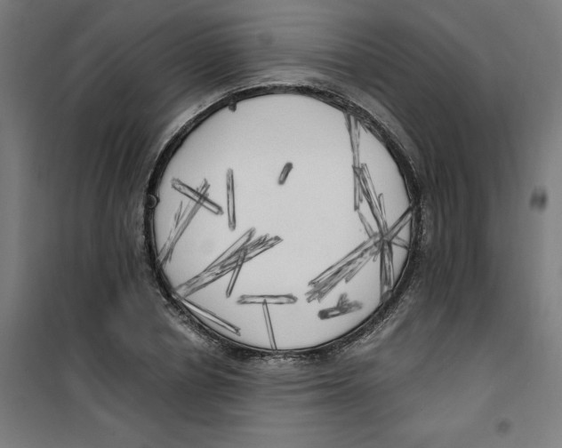 X0000100330834200807031233