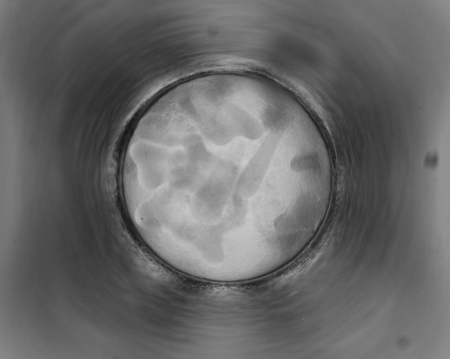 X0000100330835200807031233