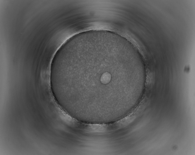 X0000100330836200807031233