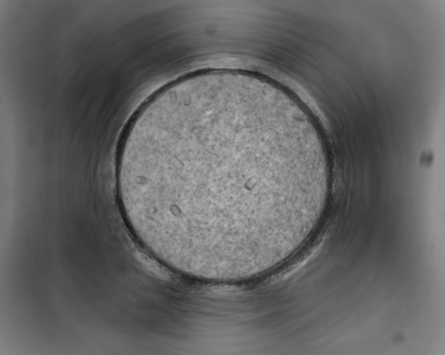 X0000100330837200807031233