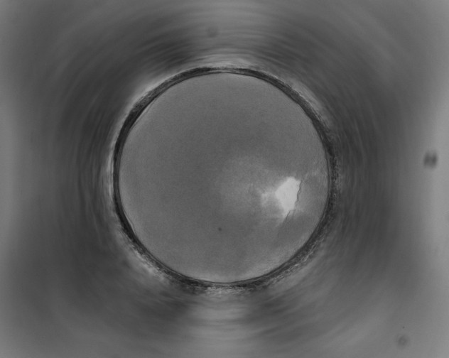 X0000100330840200807031233