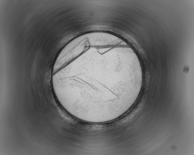 X0000100330841200807031233