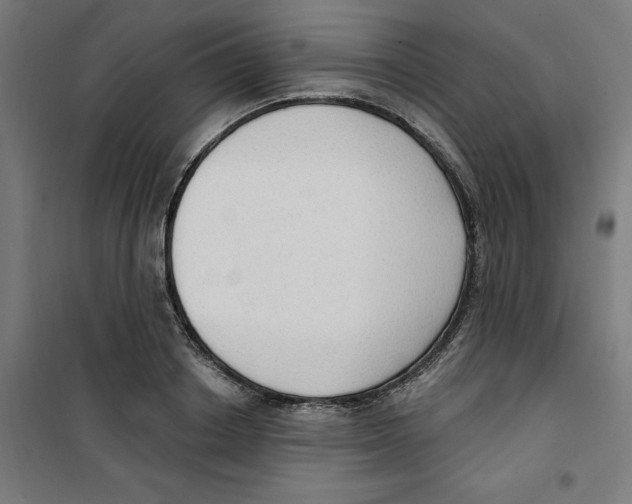 X0000100330842200807031233