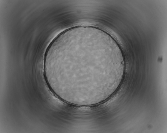 X0000100330844200807031233