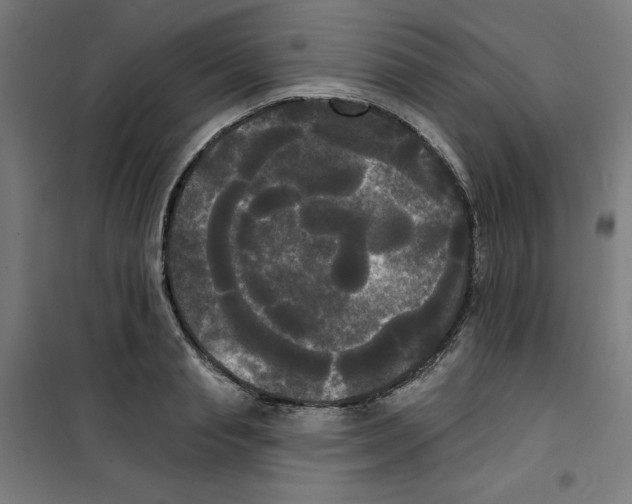 X0000100330845200807031233