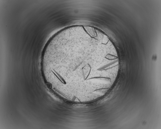 X0000100330846200807031233