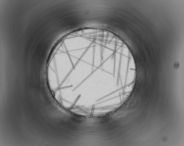 X0000100330848200807031233