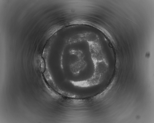 X0000100330849200807031233