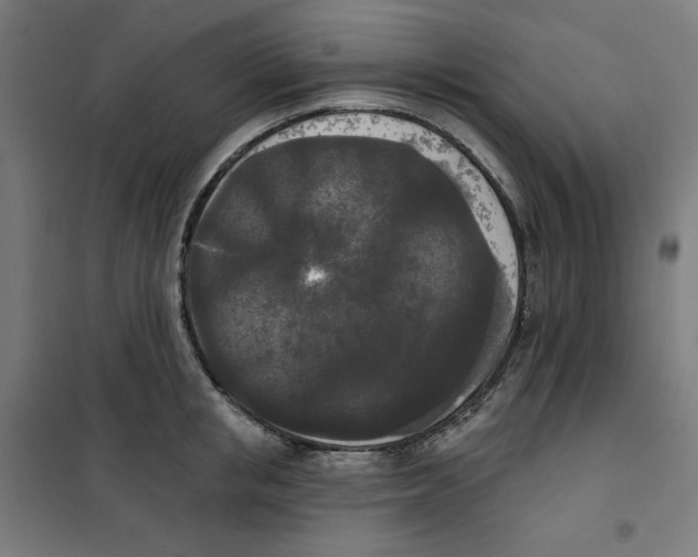 X0000100330853200807031233