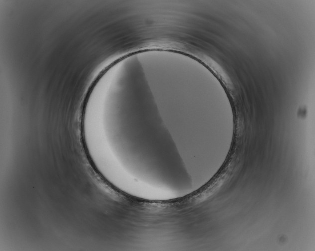 X0000100330854200807031233