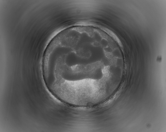 X0000100330855200807031233