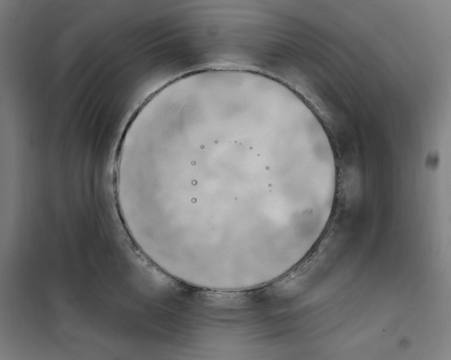 X0000100330856200807031233