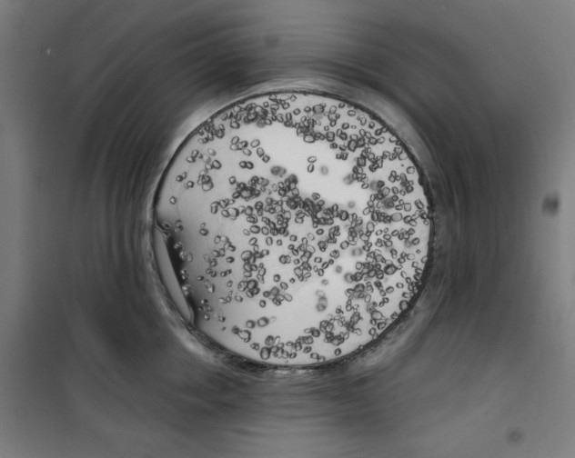 X0000100330858200807031233