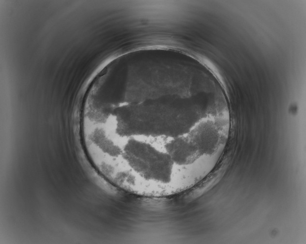 X0000100330859200807031233