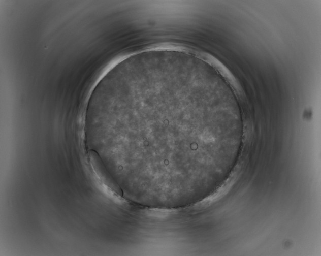 X0000100330860200807031233