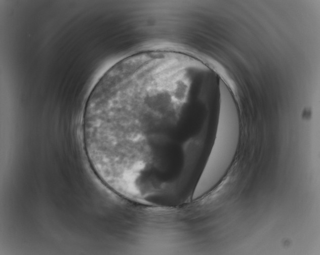 X0000100330863200807031233