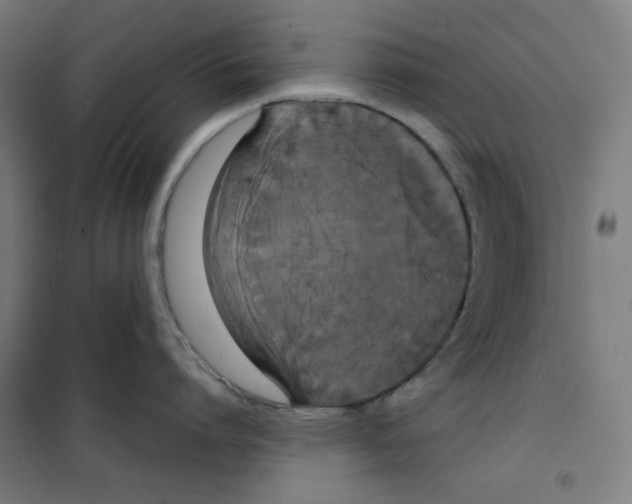 X0000100330864200807031233