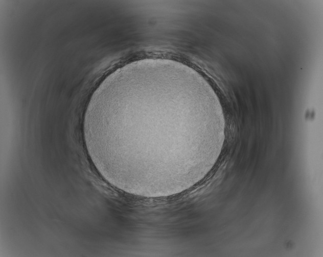 X0000100330865200807031233