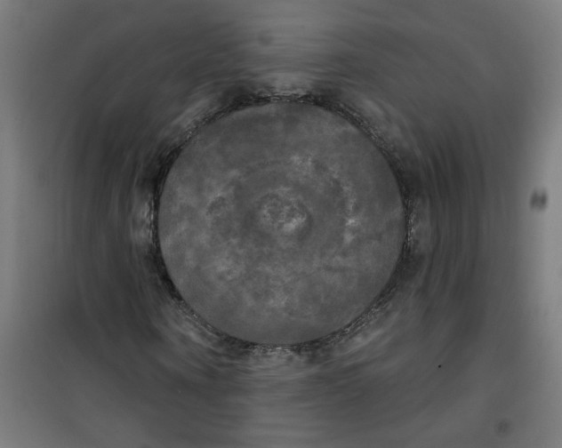 X0000100330866200807031233