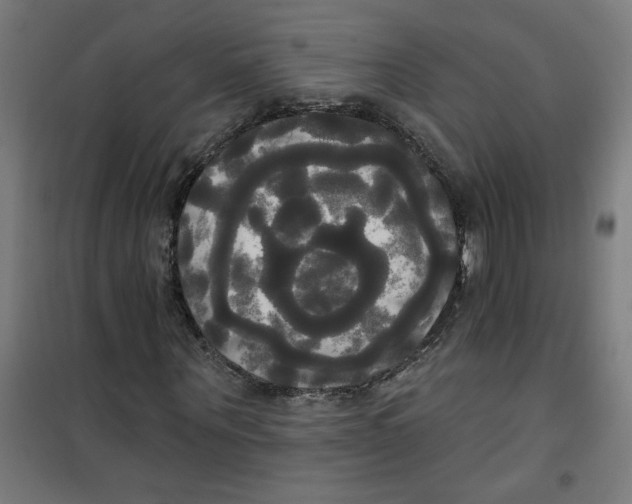 X0000100330867200807031233