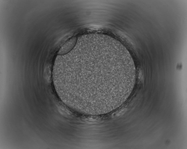 X0000100330868200807031232