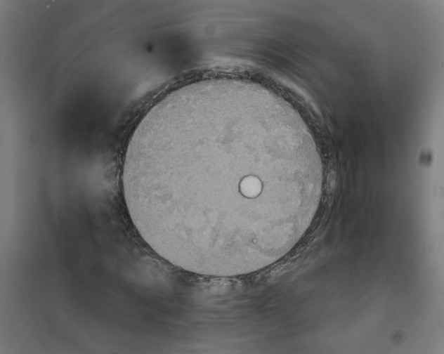 X0000100330869200807031232