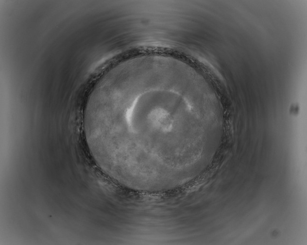 X0000100330870200807031232