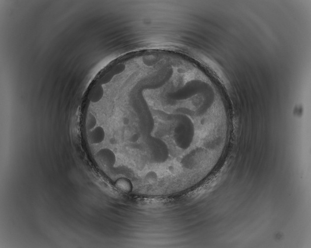 X0000100330875200807031232